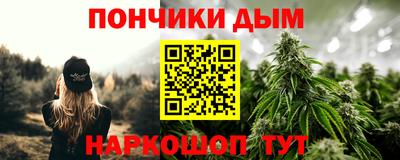 шишки Краснознаменск