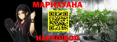 шишки Краснознаменск