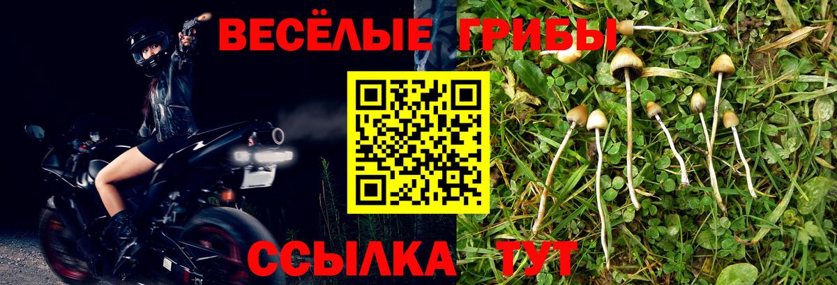 Галлюциногенные грибы MAGIC MUSHROOMS Изобильный